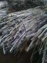 1070_new wire bundles2.jpg